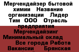 Мерчендайзер бытовой химии › Название организации ­ Лидер Тим, ООО › Отрасль предприятия ­ Мерчендайзинг › Минимальный оклад ­ 24 800 - Все города Работа » Вакансии   . Брянская обл.,Сельцо г.